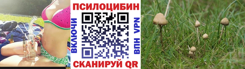 Галлюциногенные грибы мухоморы где найти Опочка